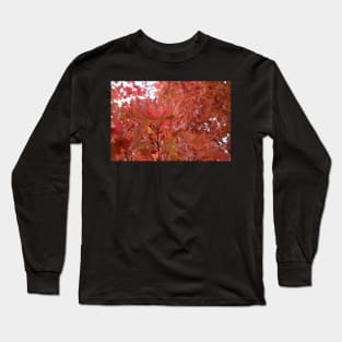 Autumn fall red leaves trees thanksgiving Long Sleeve T-Shirt